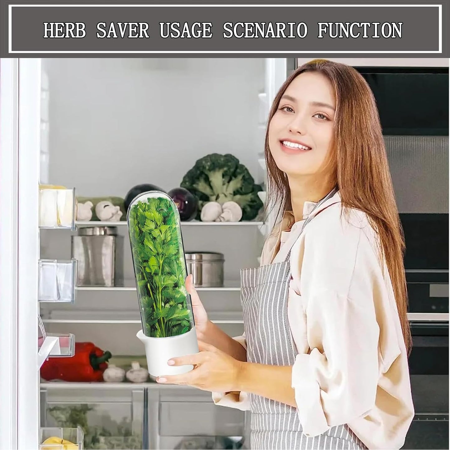 HerbLock™ – Keep Your Greens Alive, Longer