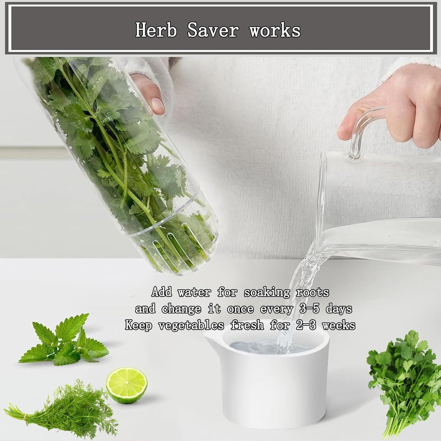 HerbLock™ – Keep Your Greens Alive, Longer