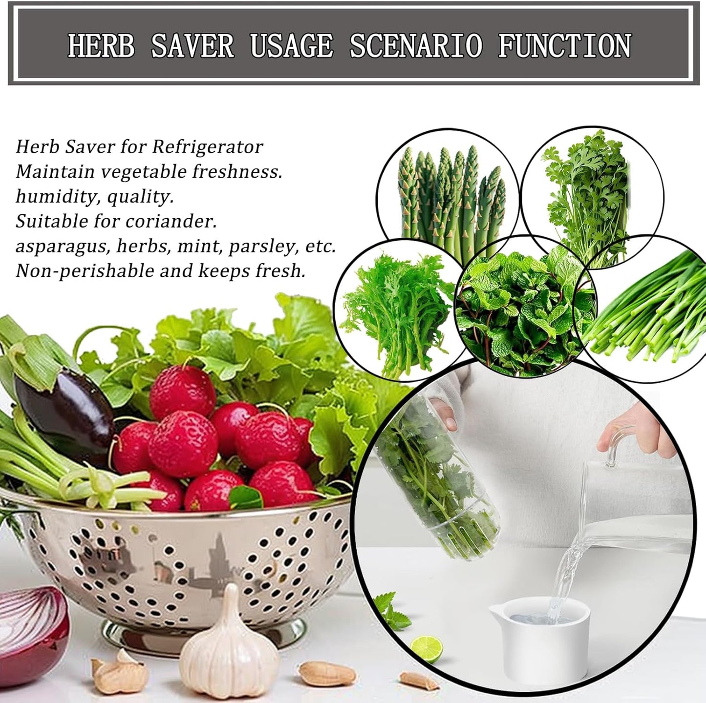HerbLock™ – Keep Your Greens Alive, Longer