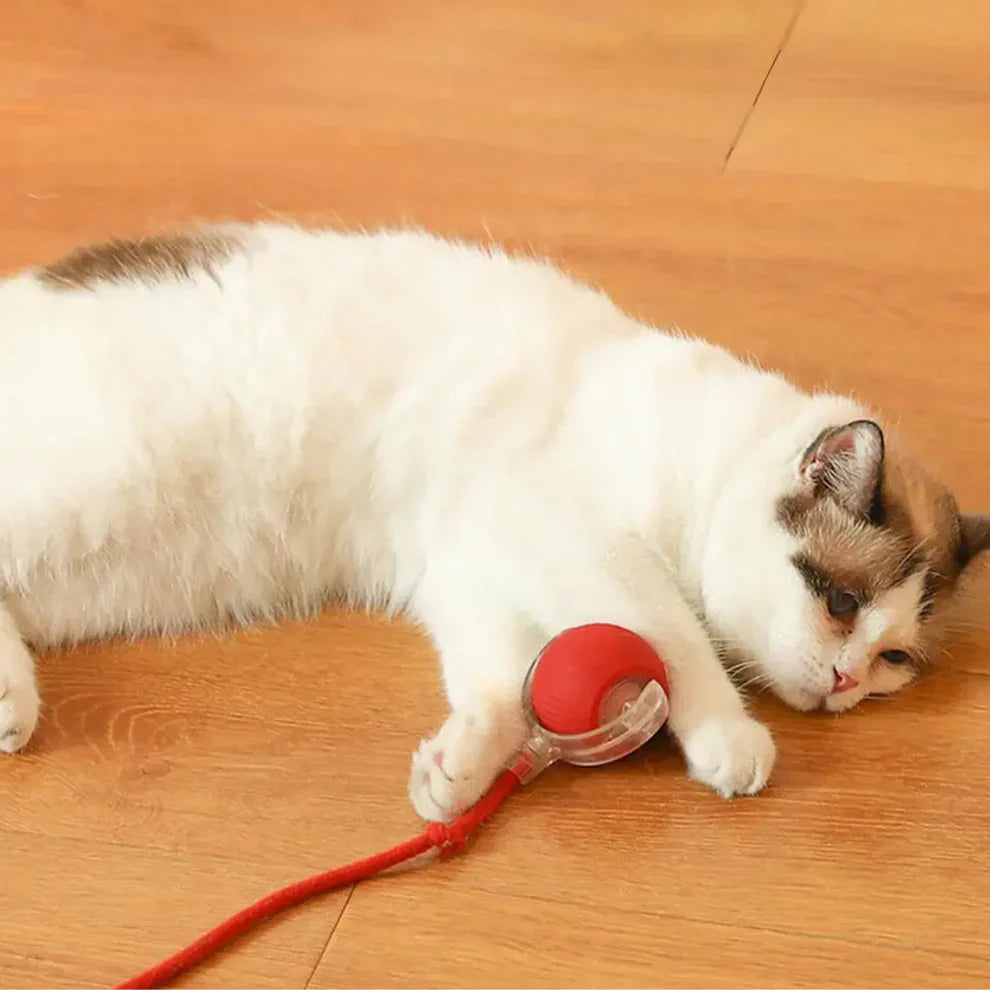 PurrRoll | Interactive Cat Toy Ball